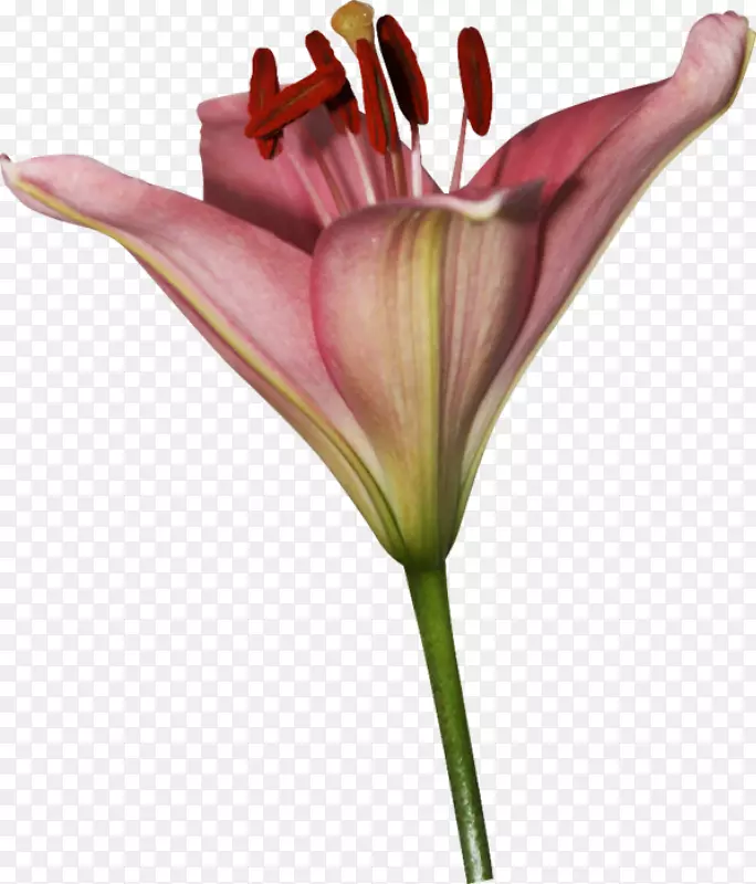 �ٺ��л�������԰õ��ٺϻ�-������