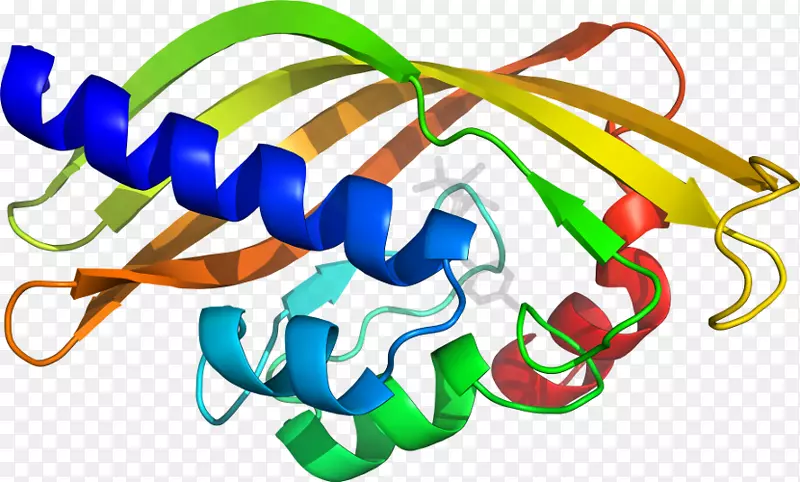 ��������Ʒ�л����߶���-d6-������