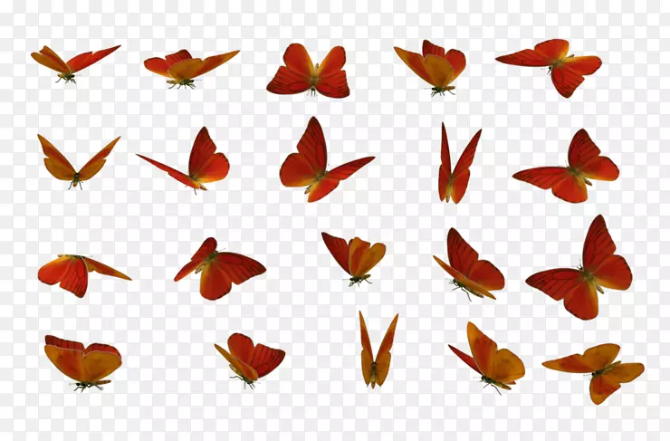 ���������������ɫpngͼƬ.����Ƭ-������