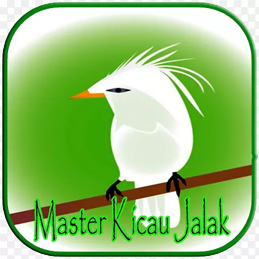 ������๱�־Ʒ��android-jalak umum-������