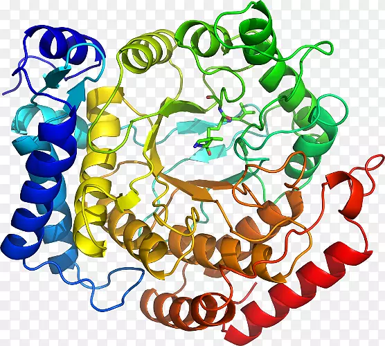 �������л�����������-������