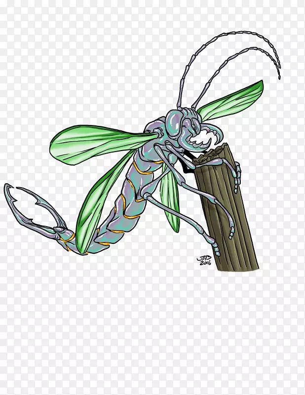 ���������������Ʒ���-����-������