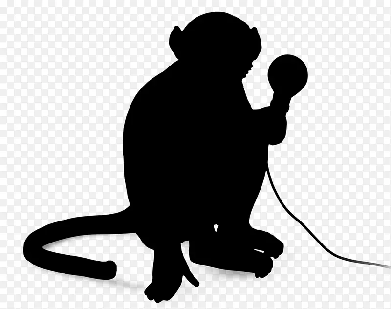 �׳���ݺ�̨��-������