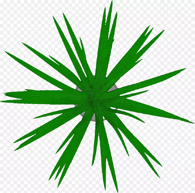 ����������-������