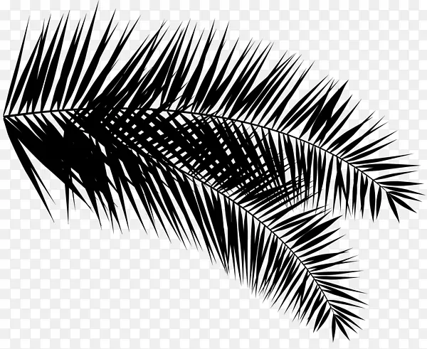 �������ë-������