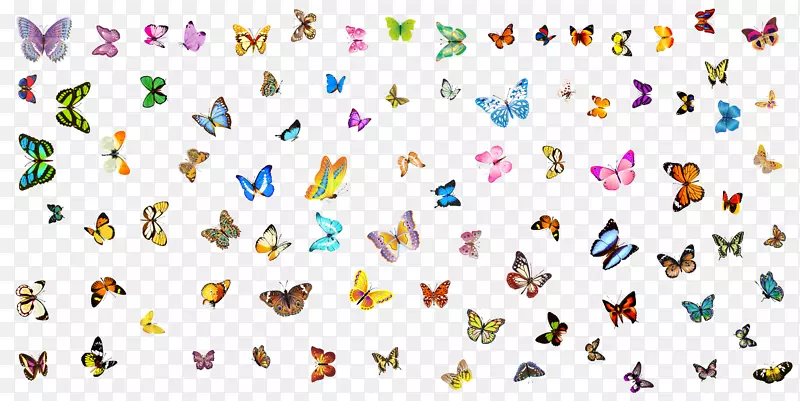 �廭�������ߵ��Ʒ-��������װ��Ʒ-������