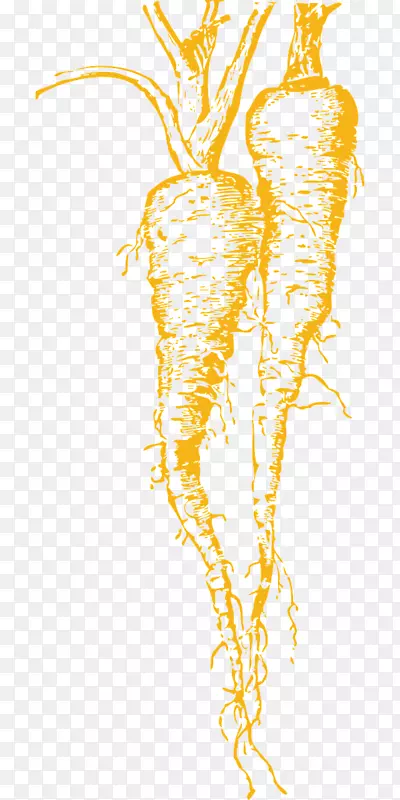 ͼ�μ������߲�ŷ�޼�����png����ͼ�߲�-������