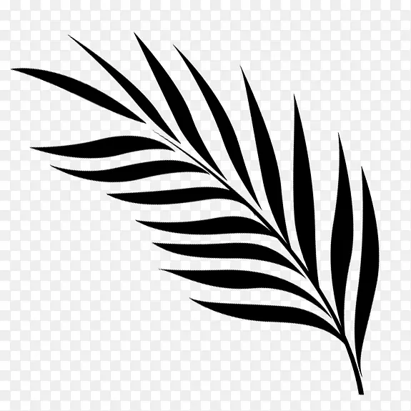 Ҷ��ֲ�ﾥ�߿���ֲ��-������