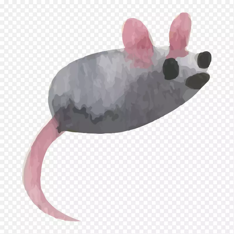 ����ˮ�ʣ�����ͼ��ˮ�ʻ�ͼ������ˮ��-������