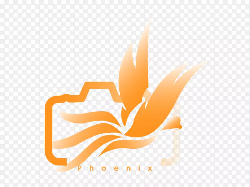 �ձ���������������ֽ��Ʒ���-�߼�ͼ��-������