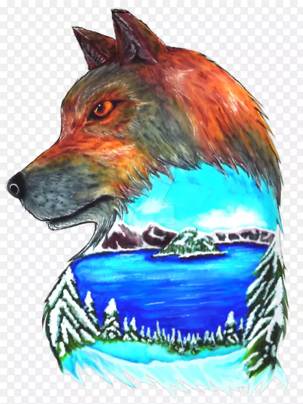 Ȯ�ƹ���ͼ-������