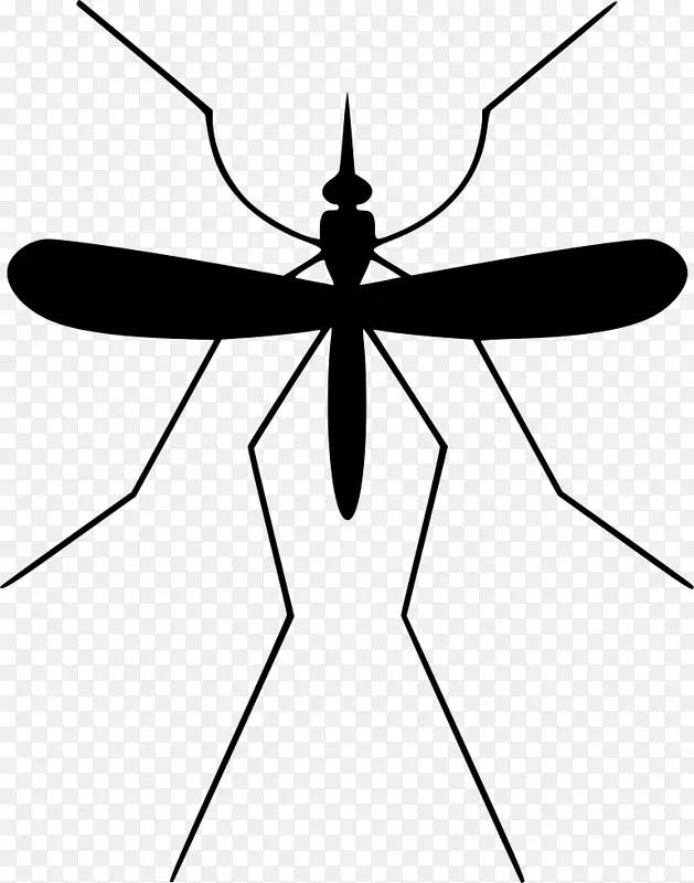 �ó����-������