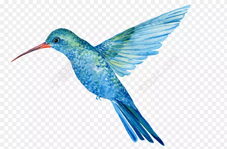 �����ͼͼ��ˮ�ʻ�.����װ��-������