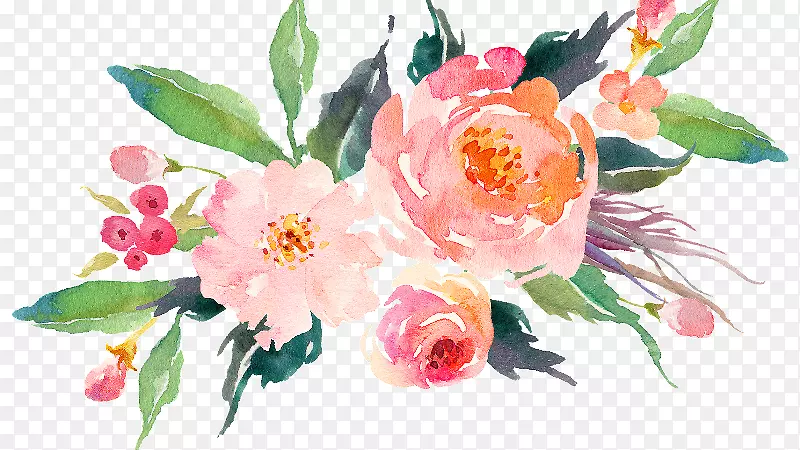 ˮ�ʻ���ˮ�ʻ��������-������