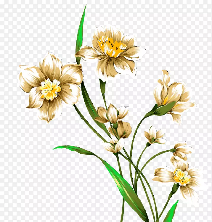 ���ˮ�ʻ������ܻ滭ͼ��ˮ�ʻ�-������