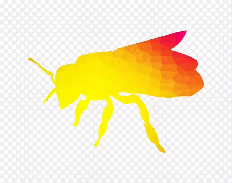 �۷��-������