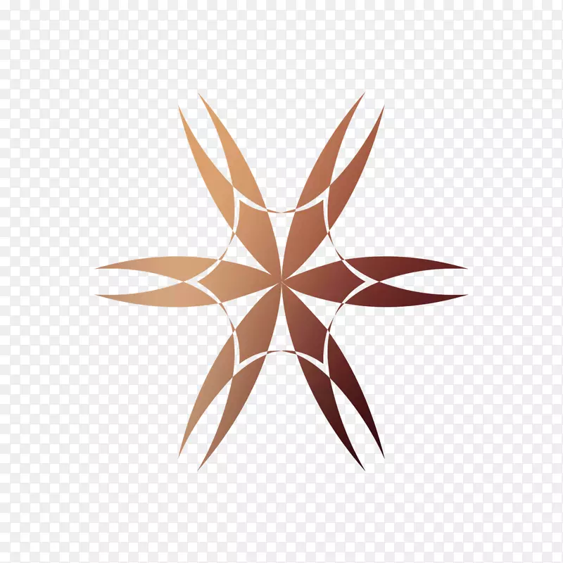 �Գ�ͼ����Ҷ����-������