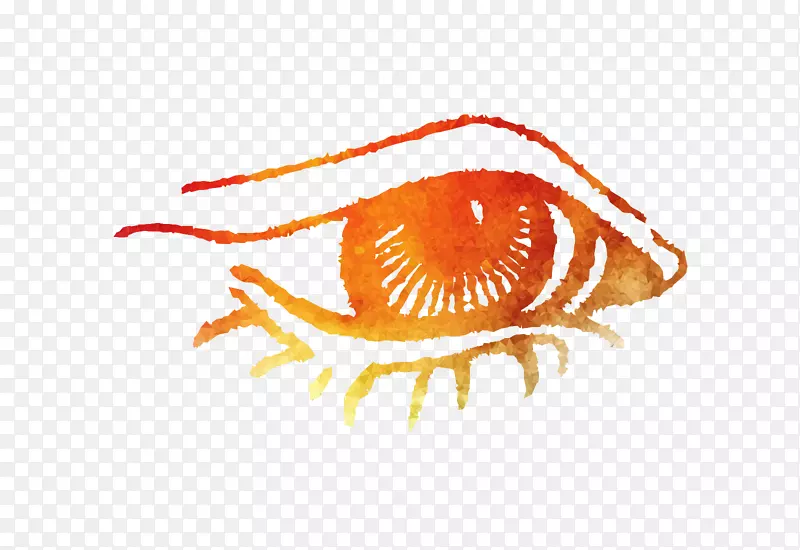 �޼�׵�����ɫS.A.-������