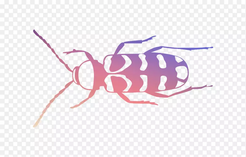 ͼ��������������Ʒ��-������