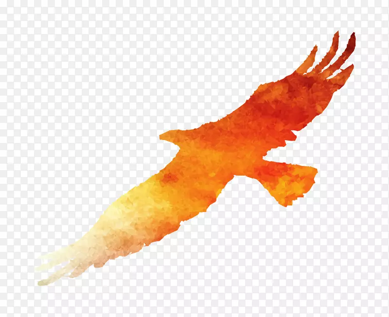 ��ຣ�����ﶯ������-������