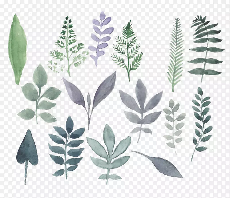 ˮ�ʻ�������ˮ�ʻ�-������