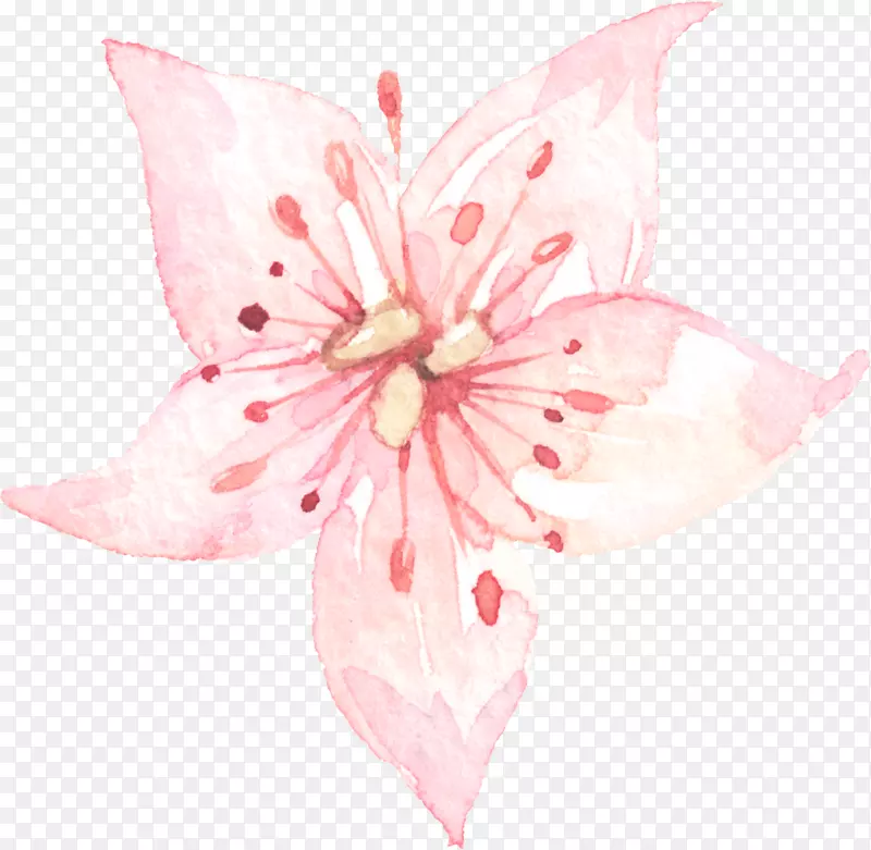 ��ˮ�ʻ��ֻ�-������