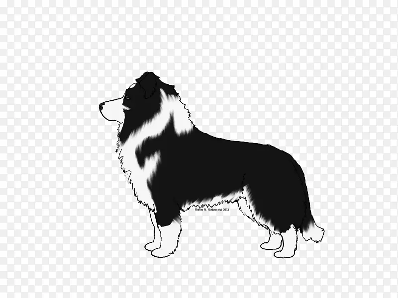 �߾�����Ȯ��ֳ�ֲ�����Ȯ/m/02csf-rng���-������