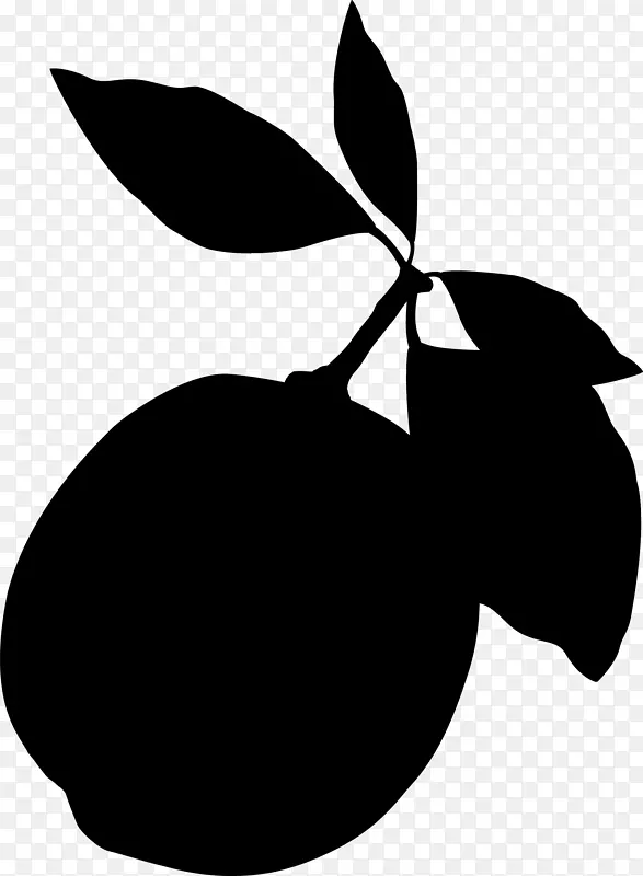 ������ˮ������������ֲ��-������