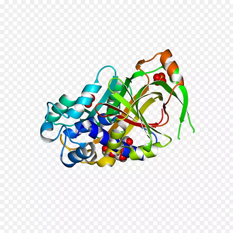 �������߲�Ʒ��������.���-������