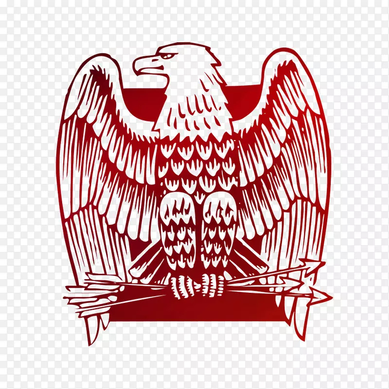 �˶�Ь����Ь���˶�װ-������