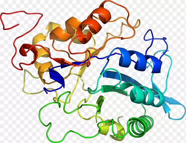 �������л�����������.����-������