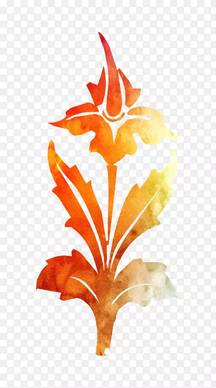 Ҷ����ֲ��-������