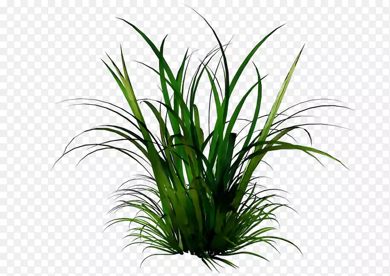 pngͼƬ����������ͼ�񣬵���ͼ�꣬�����ֽ-������