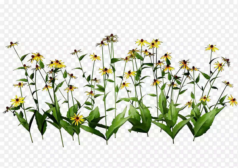 �л�ֲ�ﾥ����ֲ��-������