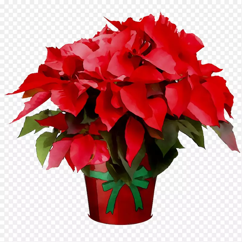 ����һ����ֲ�����ÿ�����ܰ����ֲ��-������