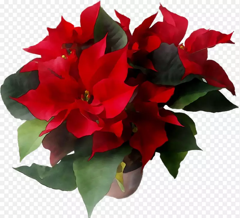 ��԰õ���л����ͻ���-������