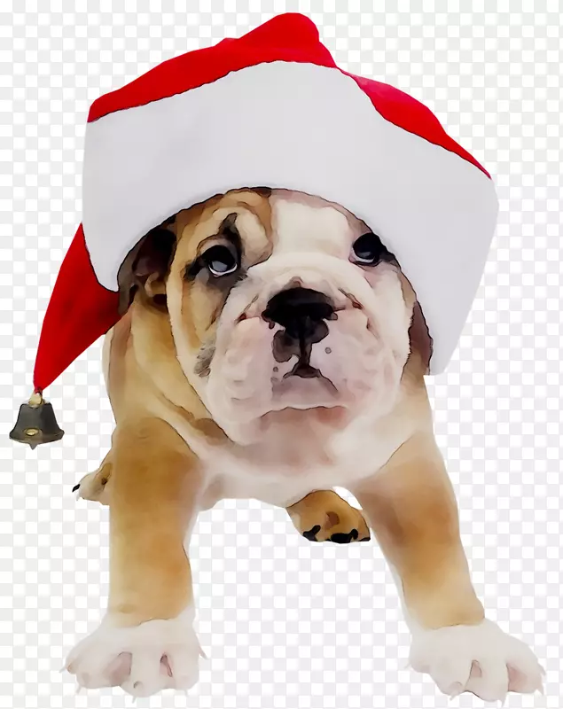 ��Ӣ����ţȮ��߶�ţȮ��Ӣ����ţȮ�ȶ�ţȮ��ɫӢ����ţȮ-������