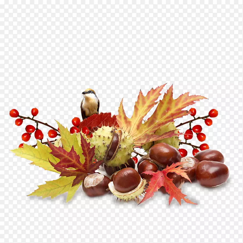 �＾���Ĳ���ͼƬpngͼƬ.�＾-������