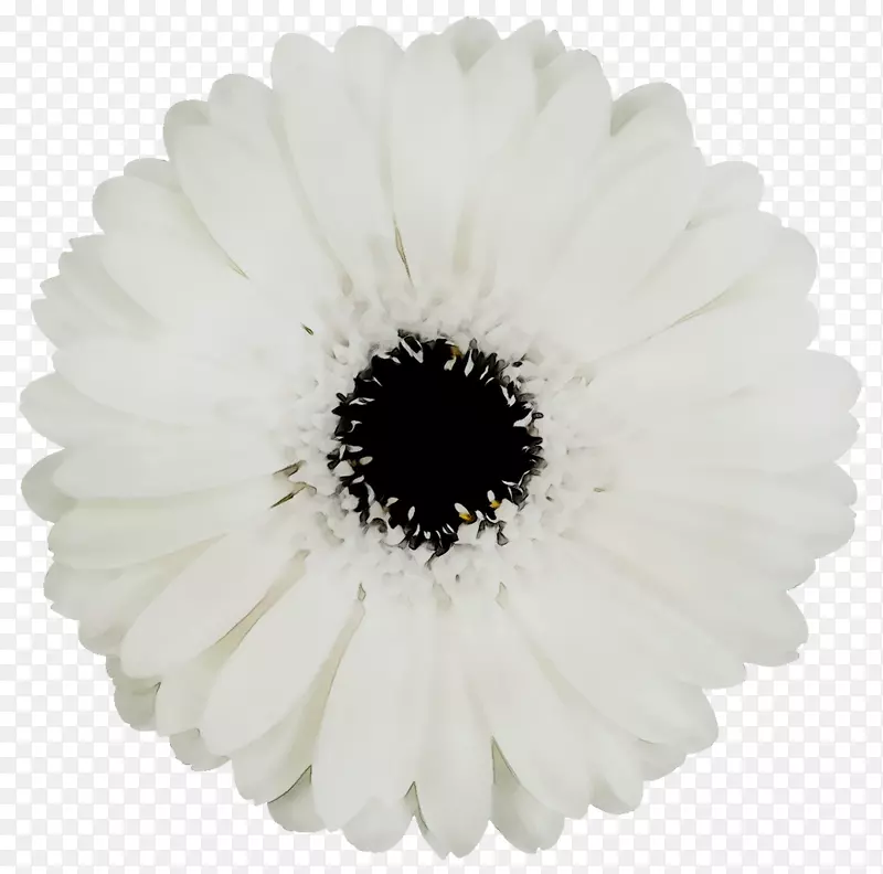 ����ʿ�߳����л�����ܰ����ֲ��-������