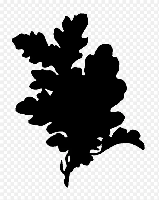 ��������ӰҶ����ֲ��-������