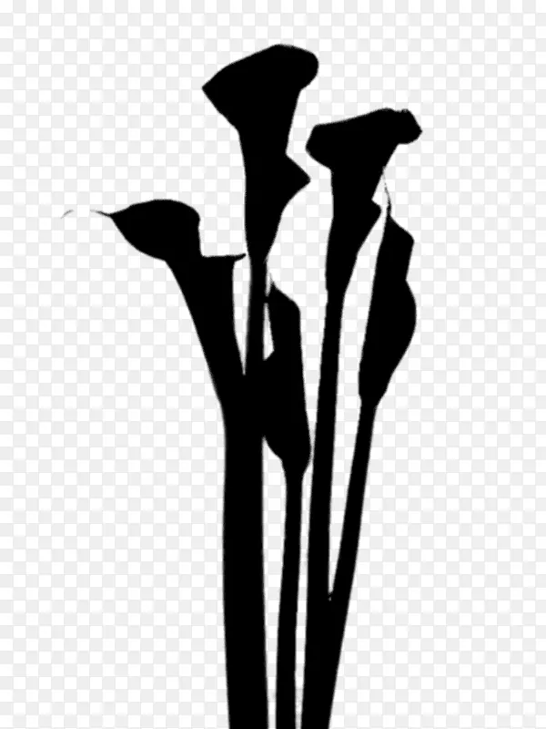 ����ֲ���Ʒֲ�ﾥ����-������