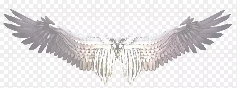 ������ͼ��pngͼƬ.ƫ��ͼ-������