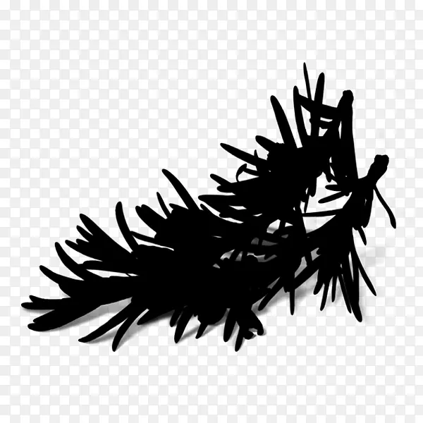 ���Ͱ���¡�л�������ɳĮ������ԡ��������޹�²�8��˾-������