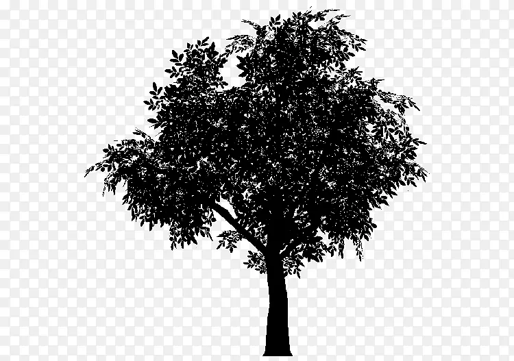 ˹�����������������������Ӱ-������