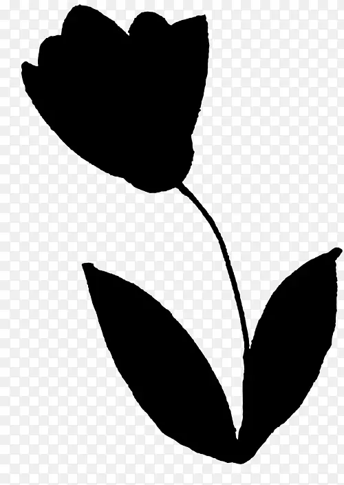 ��������Ҷֲ�ﾥ����ֲ��-������