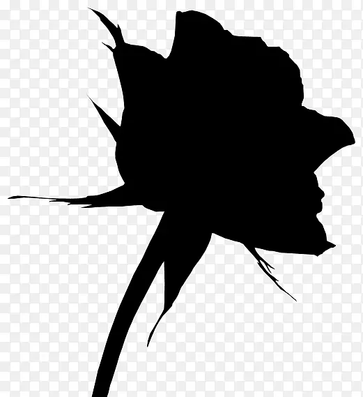 ����������������Ҷ-������