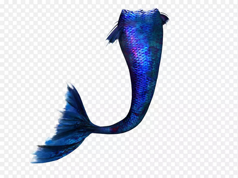 ������ͼƬ�����ұ༭-������-������