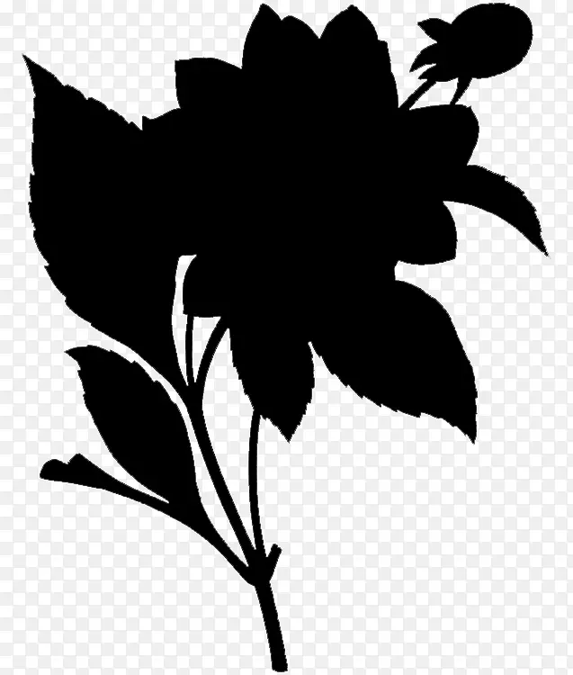 ����ֲ��ĵ����԰õ�廨��-������