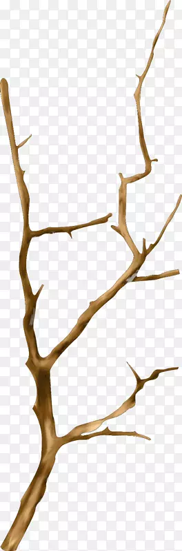 Mari Cruz vgС֦�����ʼ���Ư��ľ����-������