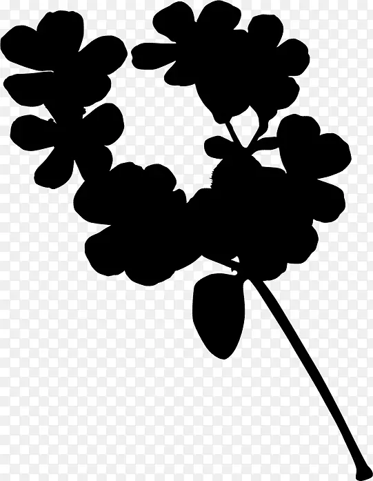 ��������ӰҶ����ֲ��-������